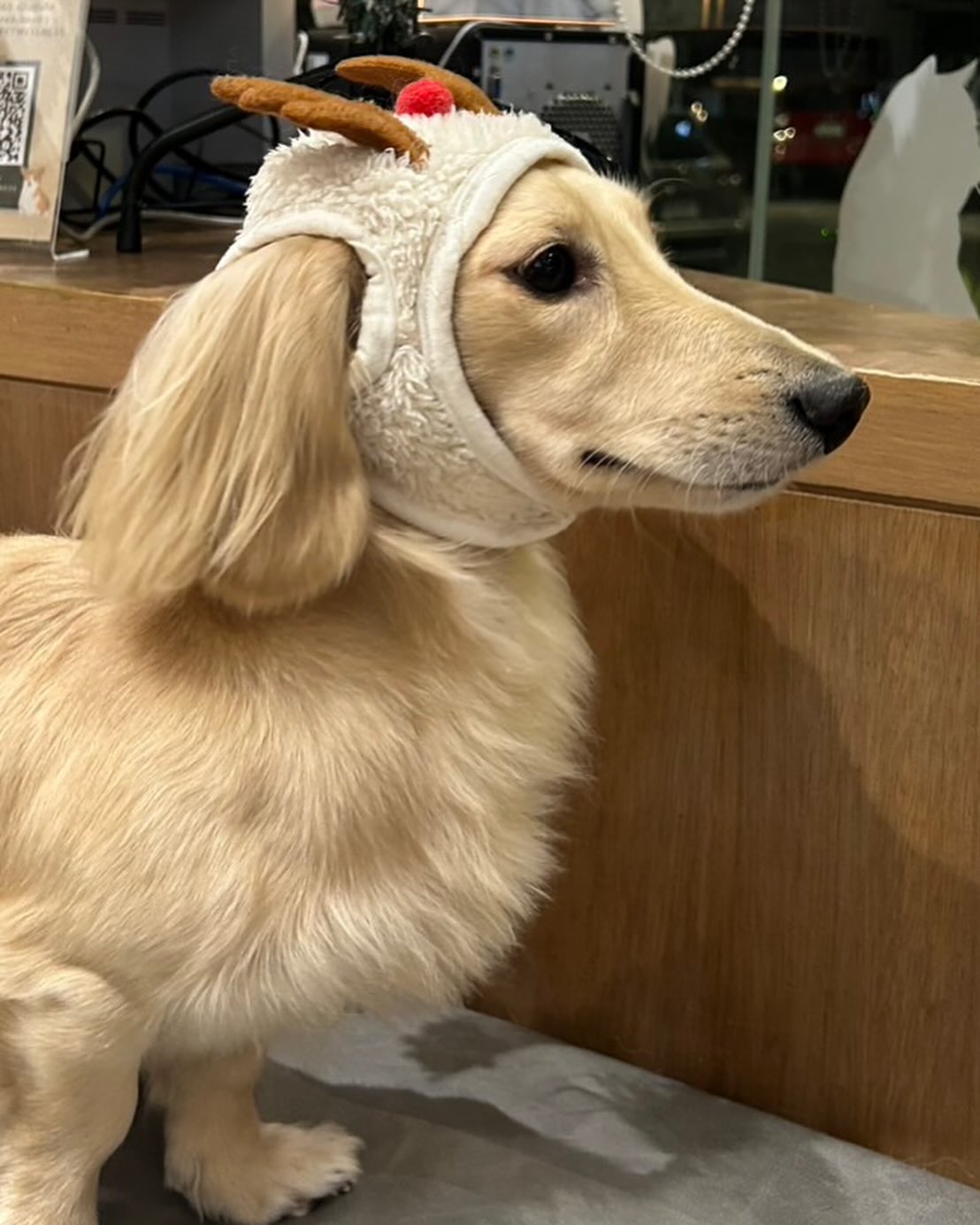 พรอยมน - มนสภรณ์ ชาญเฉลิม