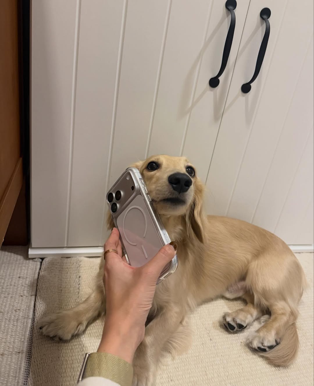 พรอยมน - มนสภรณ์ ชาญเฉลิม