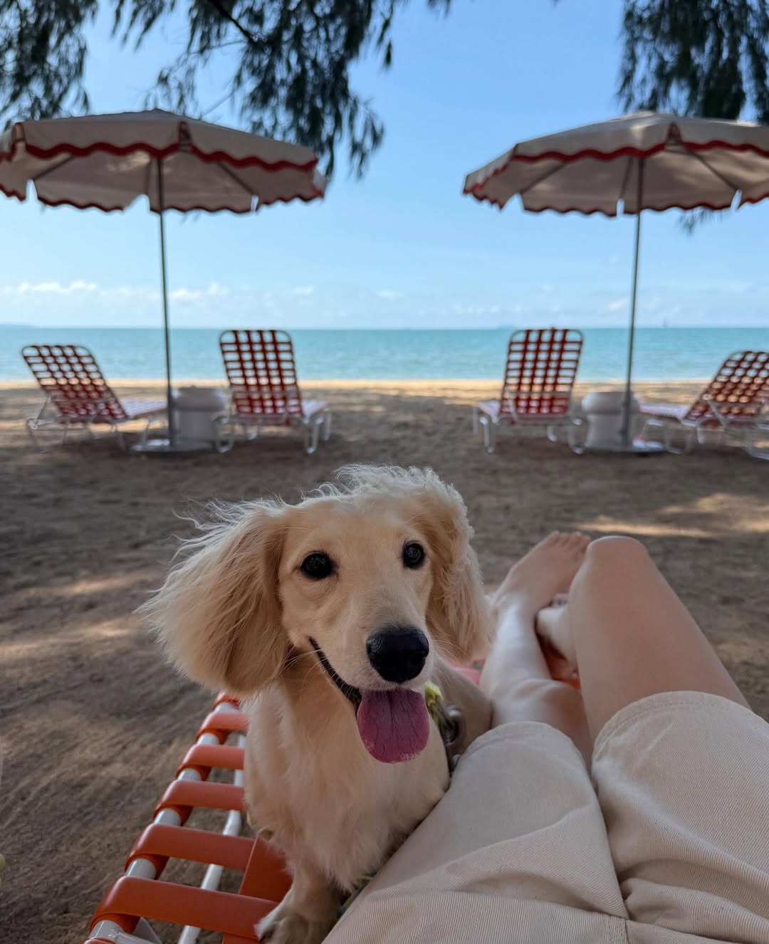 พรอยมน - มนสภรณ์ ชาญเฉลิม