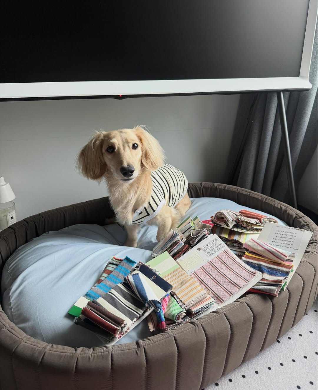 พรอยมน - มนสภรณ์ ชาญเฉลิม