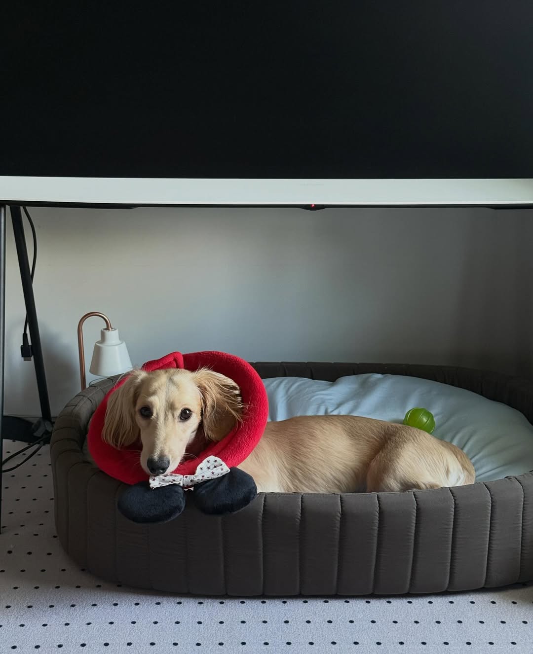 พรอยมน - มนสภรณ์ ชาญเฉลิม