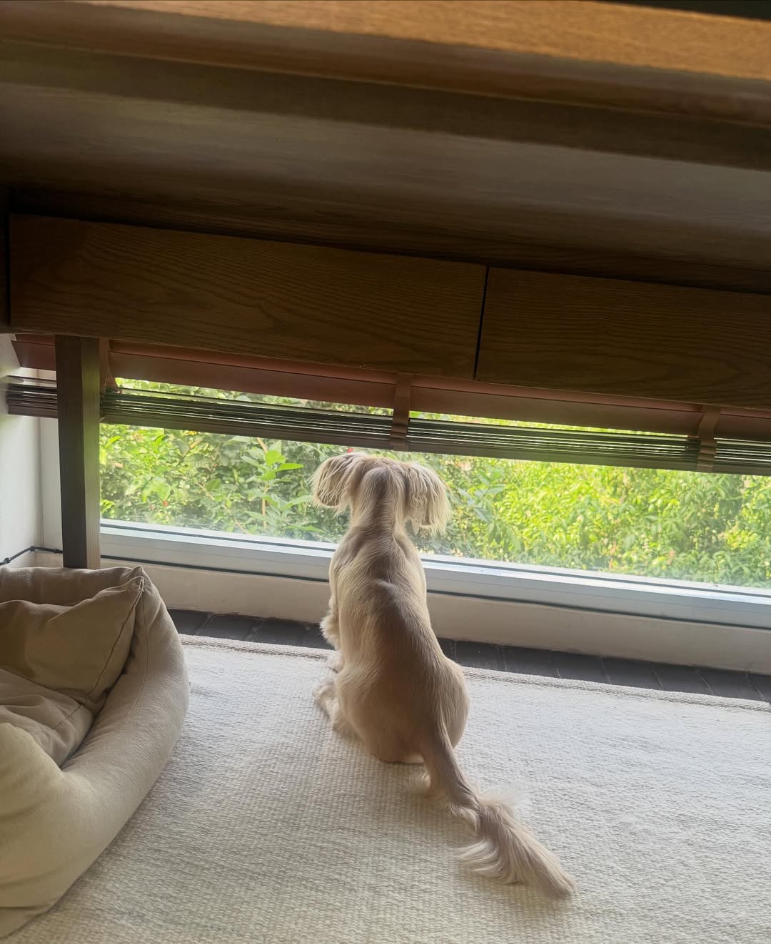 พรอยมน - มนสภรณ์ ชาญเฉลิม