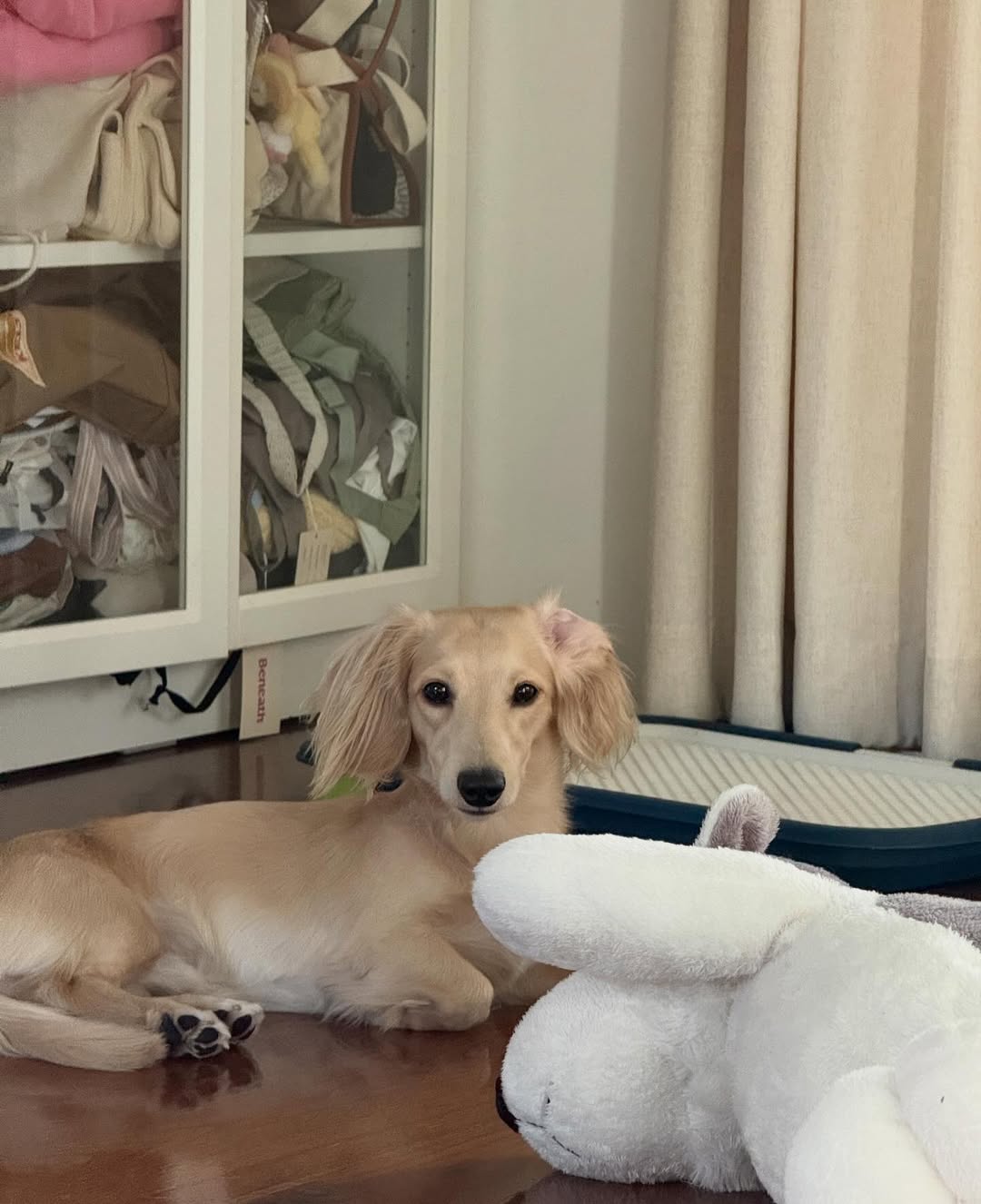 พรอยมน - มนสภรณ์ ชาญเฉลิม