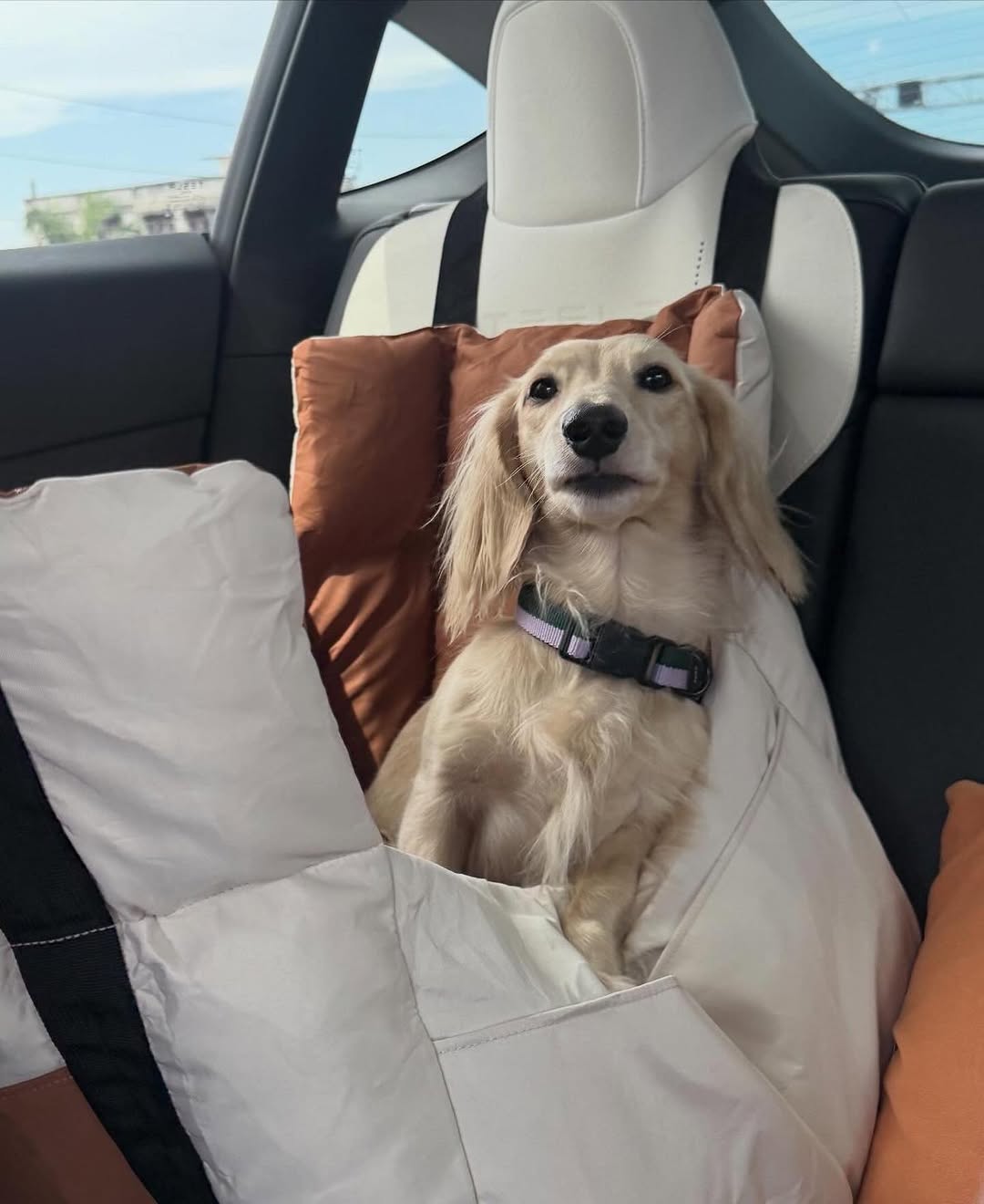 พรอยมน - มนสภรณ์ ชาญเฉลิม