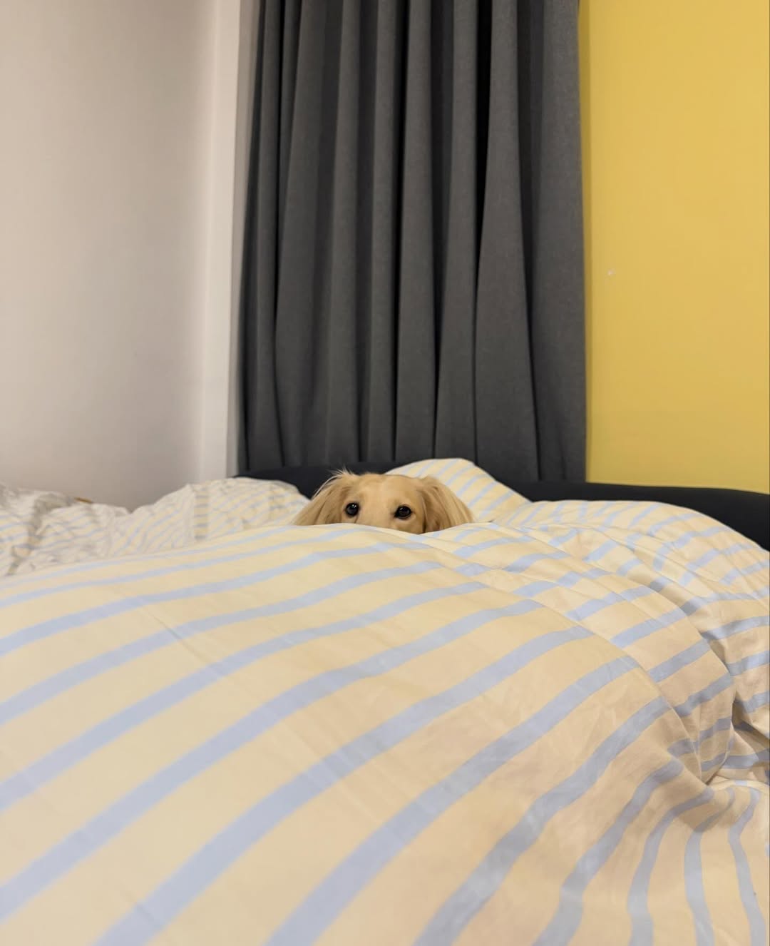 พรอยมน - มนสภรณ์ ชาญเฉลิม