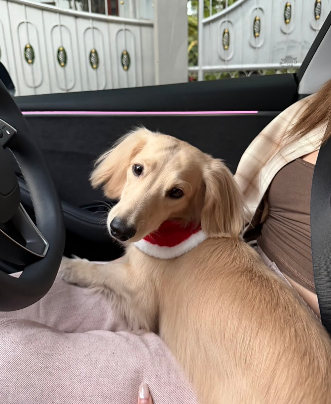 พรอยมน - มนสภรณ์ ชาญเฉลิม