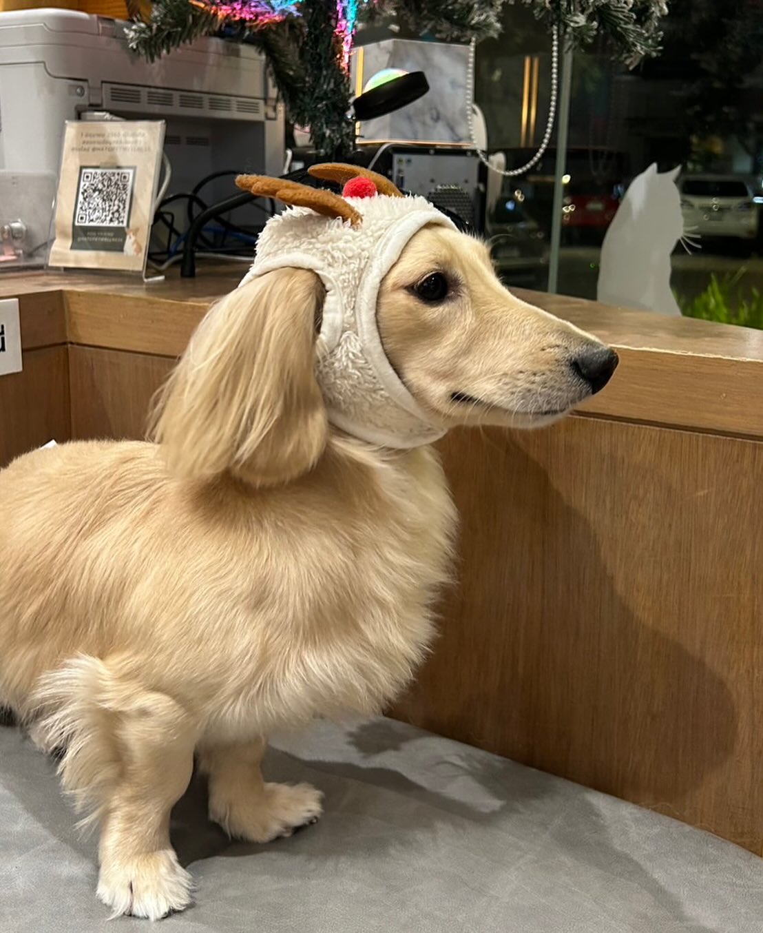 พรอยมน - มนสภรณ์ ชาญเฉลิม