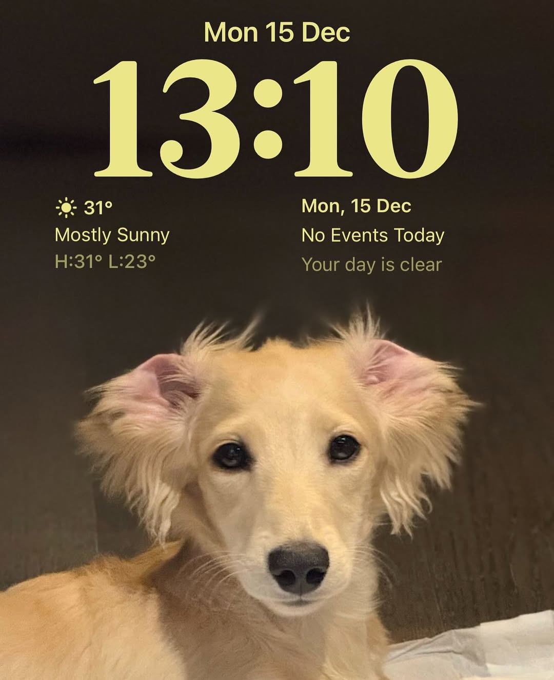 พรอยมน - มนสภรณ์ ชาญเฉลิม