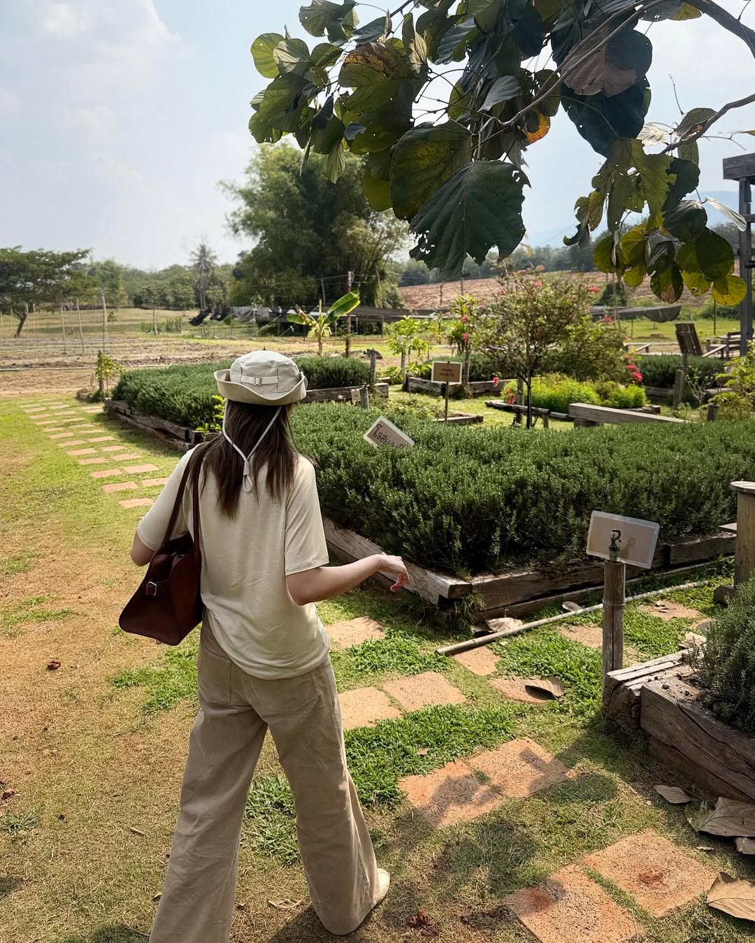 พรอยมน - มนสภรณ์ ชาญเฉลิม