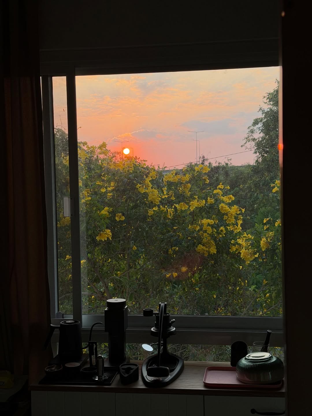 พรอยมน - มนสภรณ์ ชาญเฉลิม