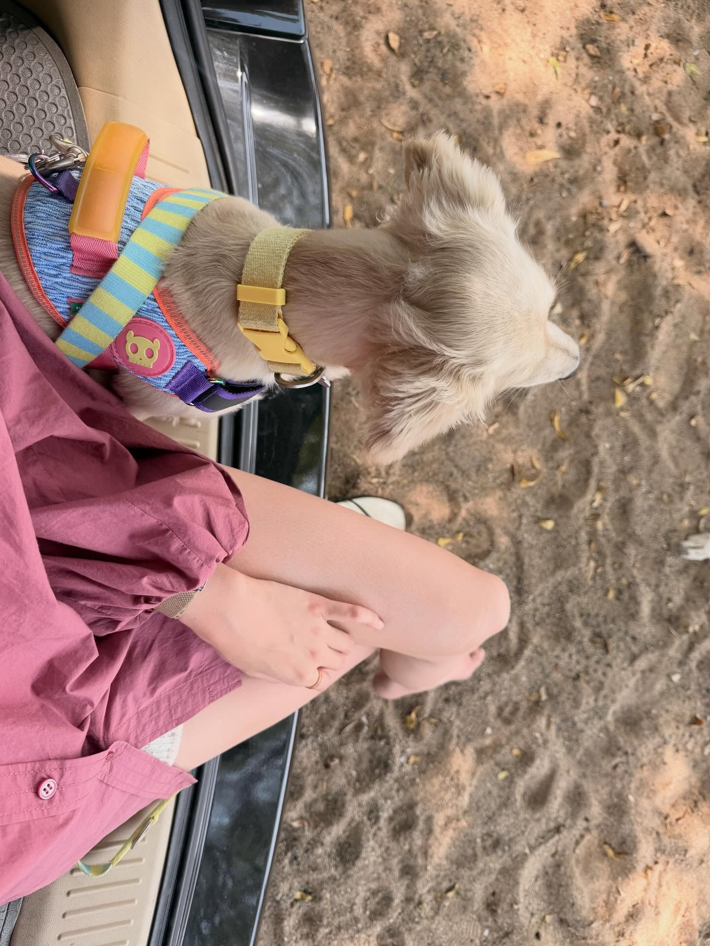 พรอยมน - มนสภรณ์ ชาญเฉลิม