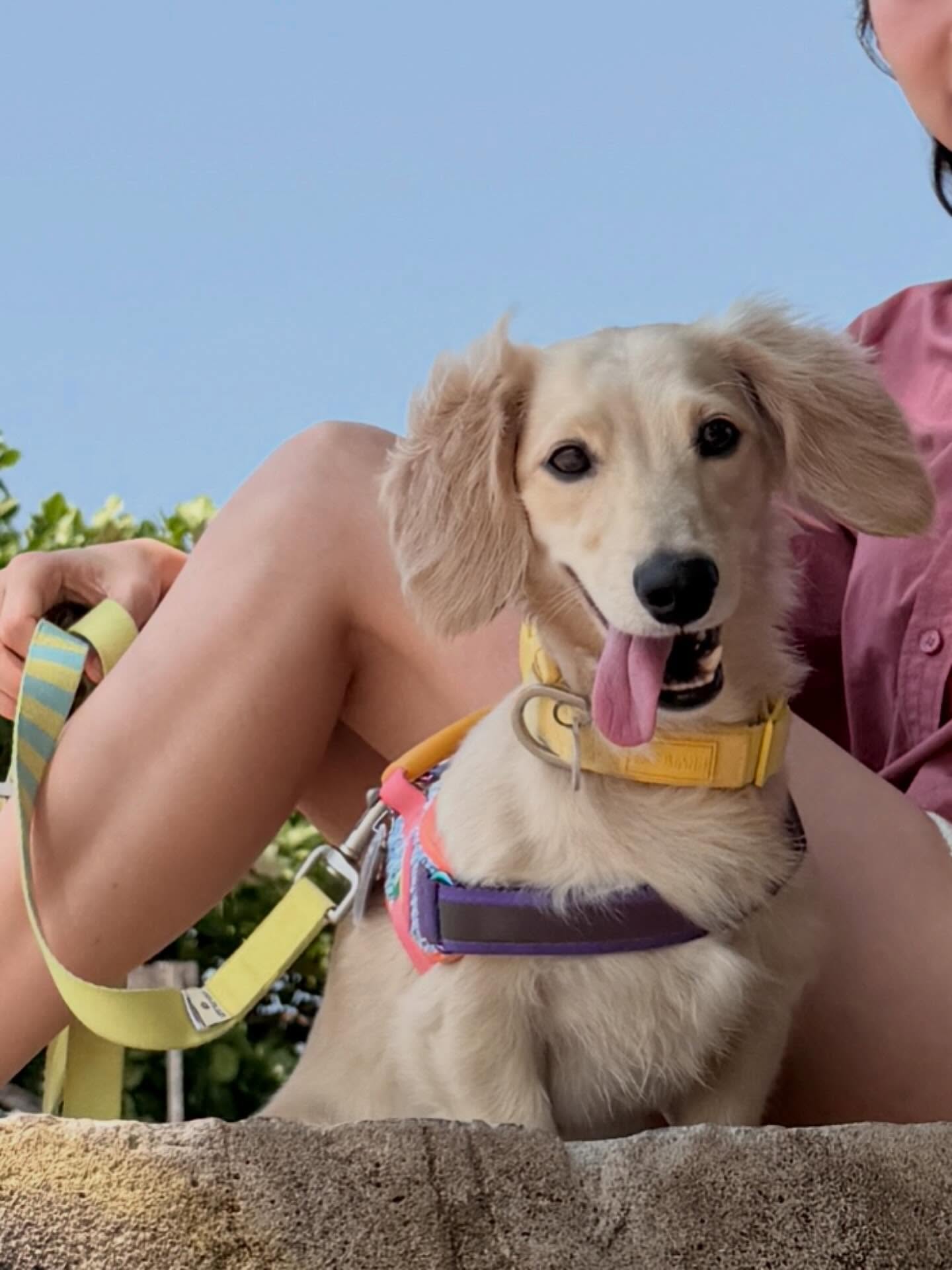 พรอยมน - มนสภรณ์ ชาญเฉลิม