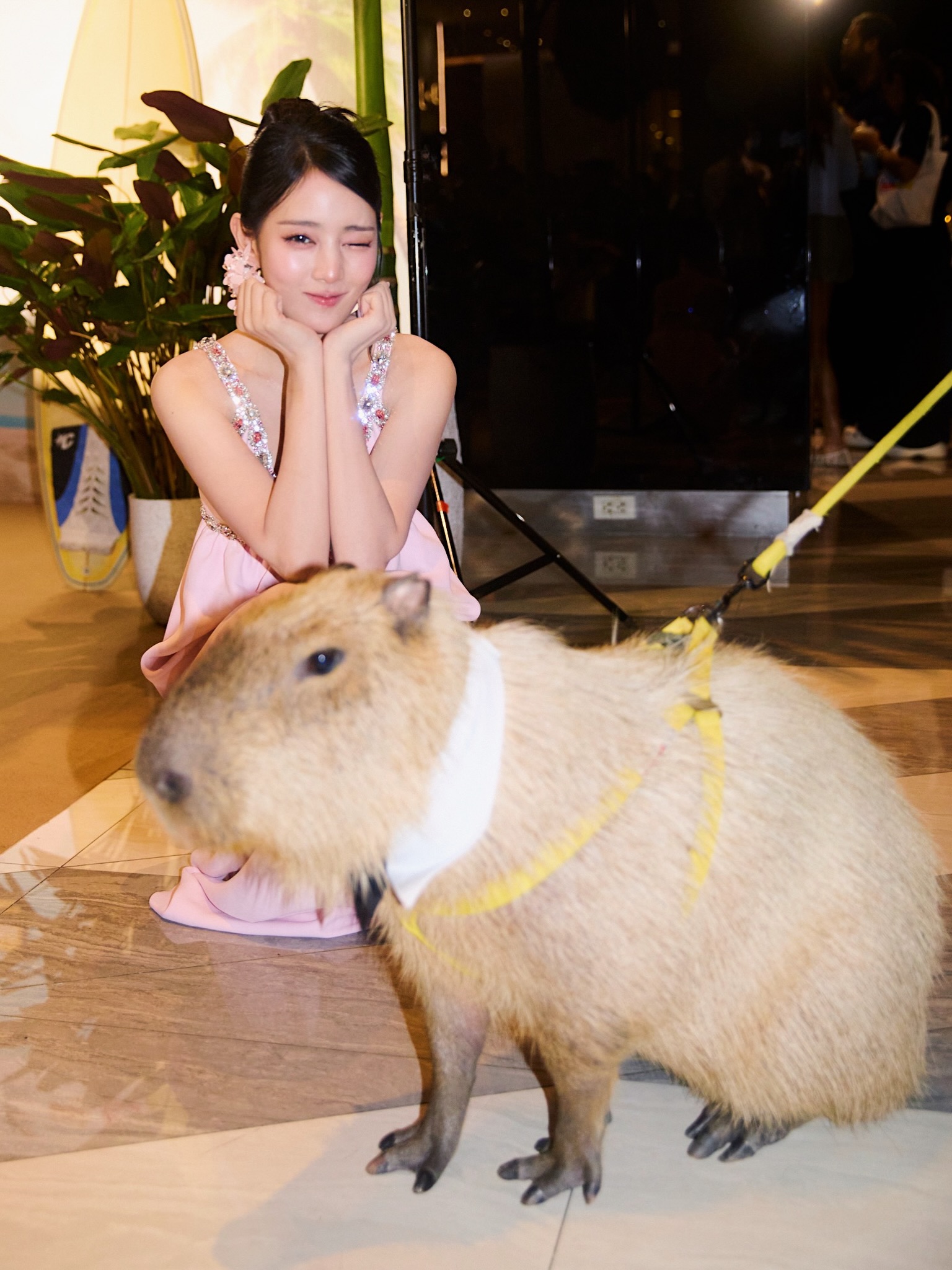 มินนี่ - ณิชา ยนตรรักษ์