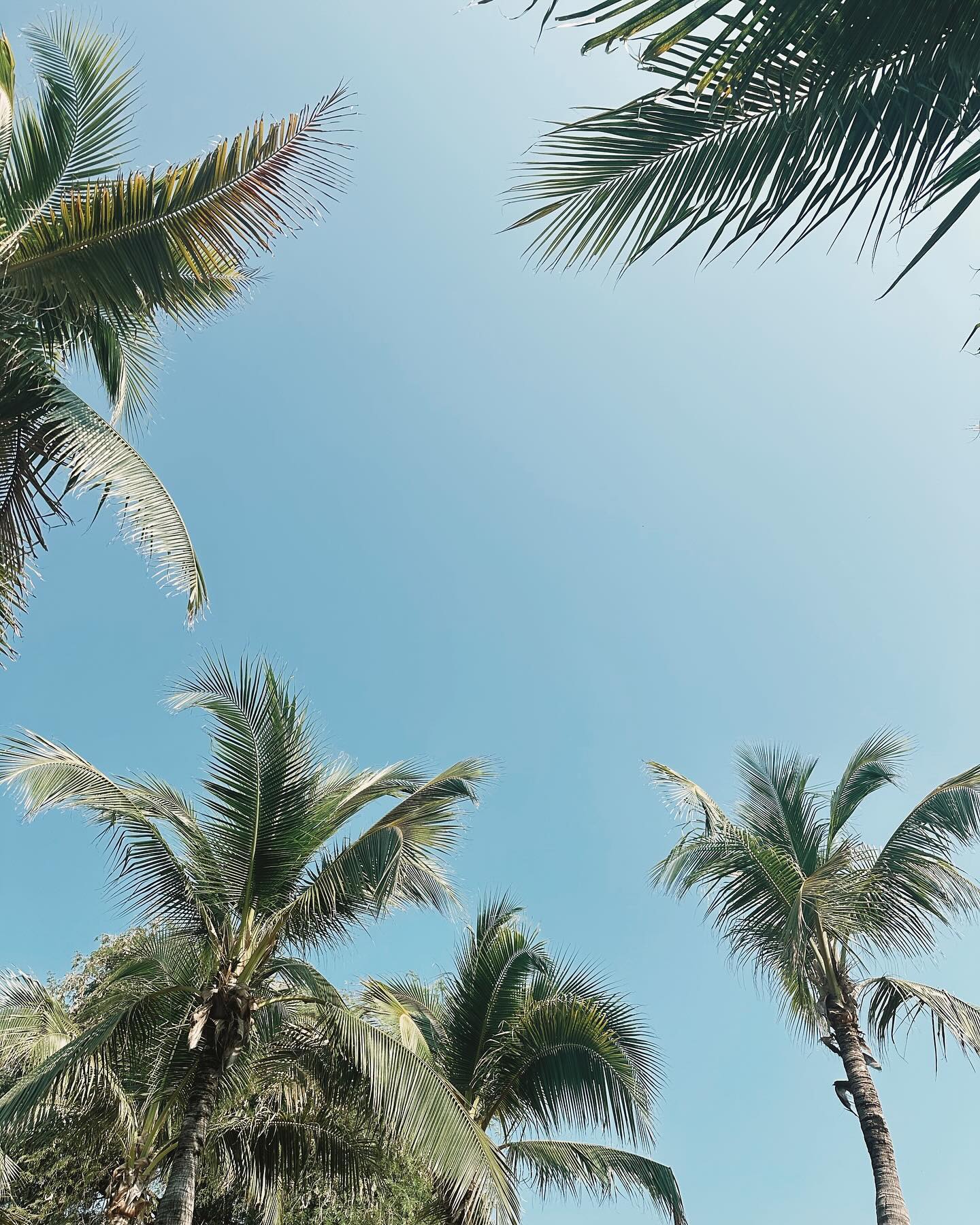 กัน - ณภัทร ณ ระนอง