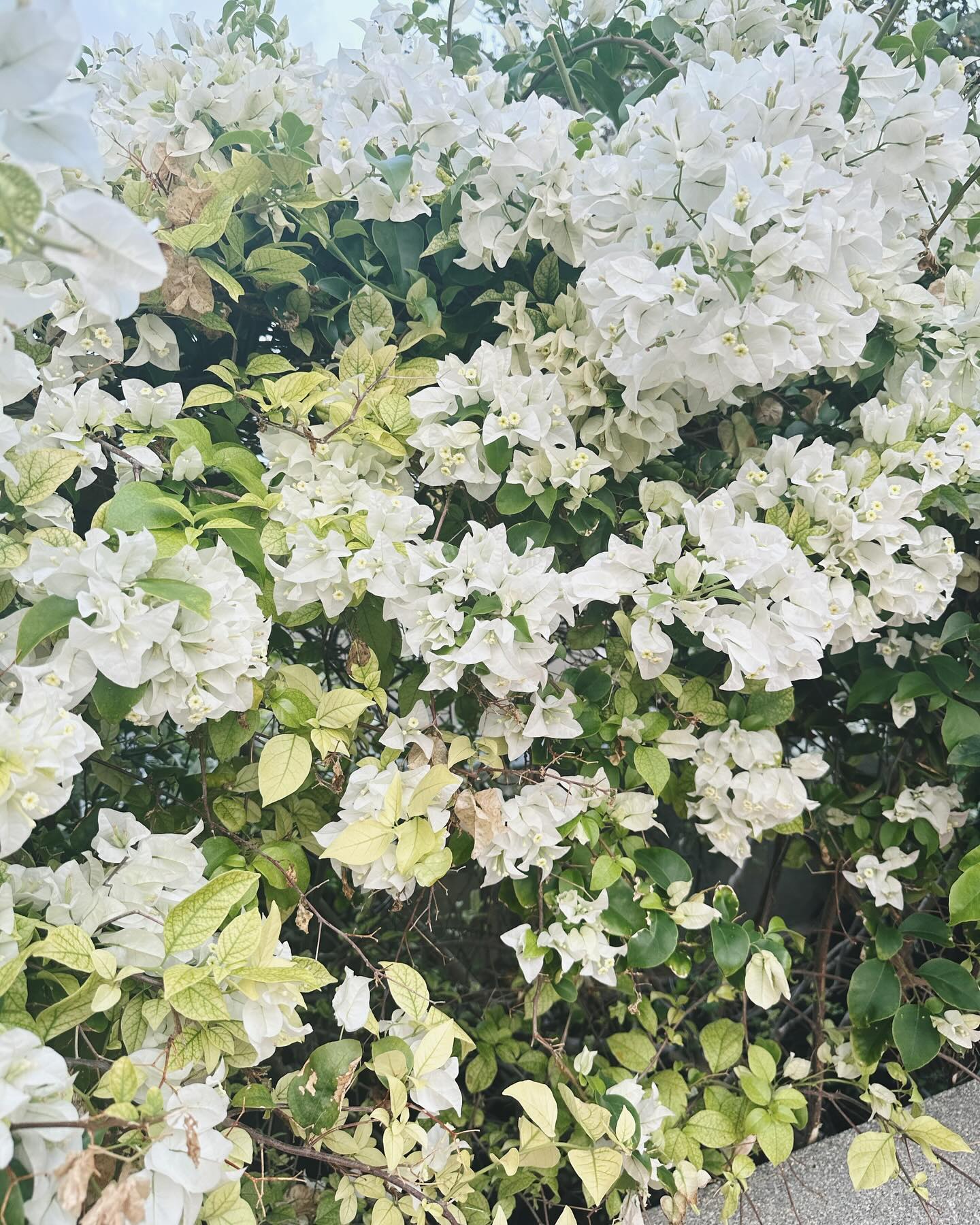 กัน - ณภัทร ณ ระนอง