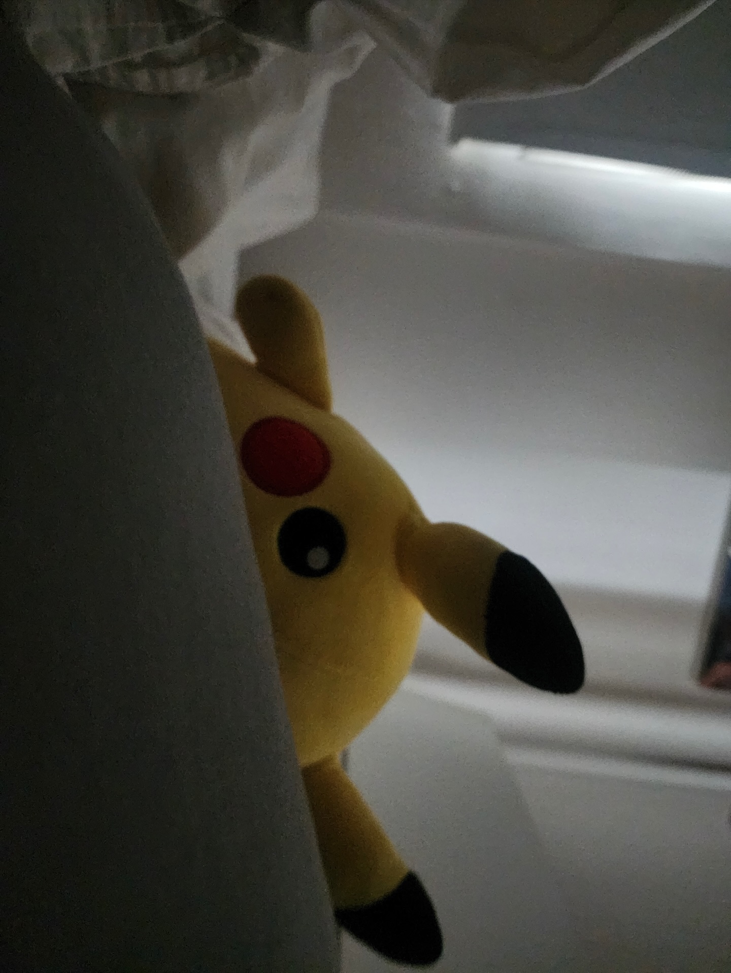 กัน - ณภัทร ณ ระนอง