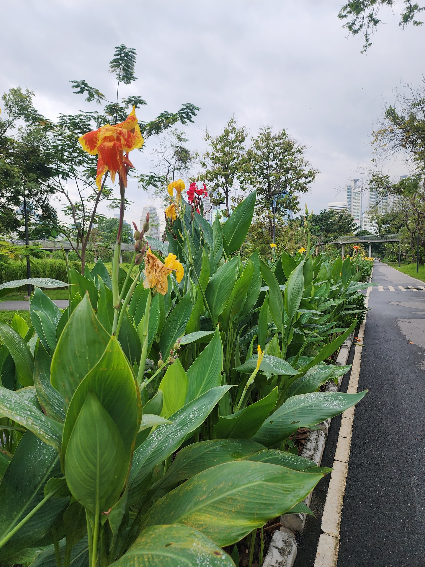 กัน - ณภัทร ณ ระนอง