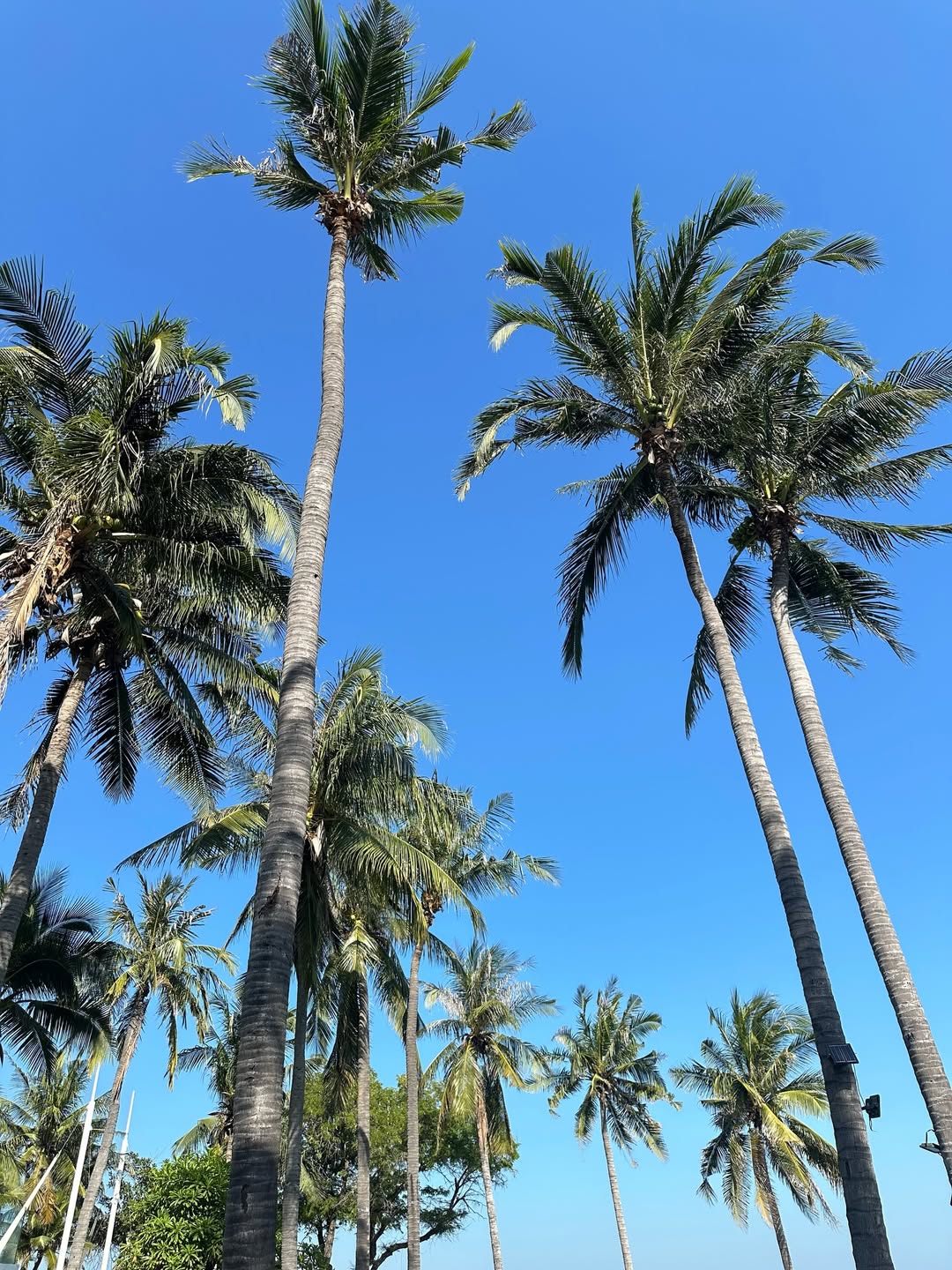 กัน - ณภัทร ณ ระนอง