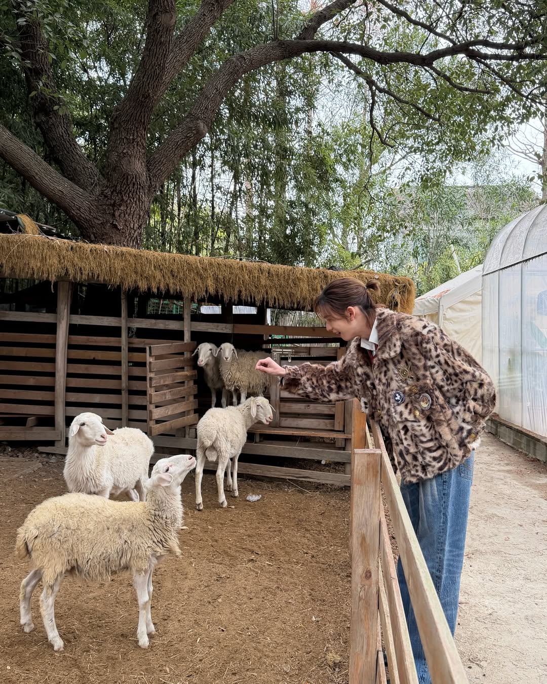 พูห์ - กฤติน กิจจารุวรรณกุล