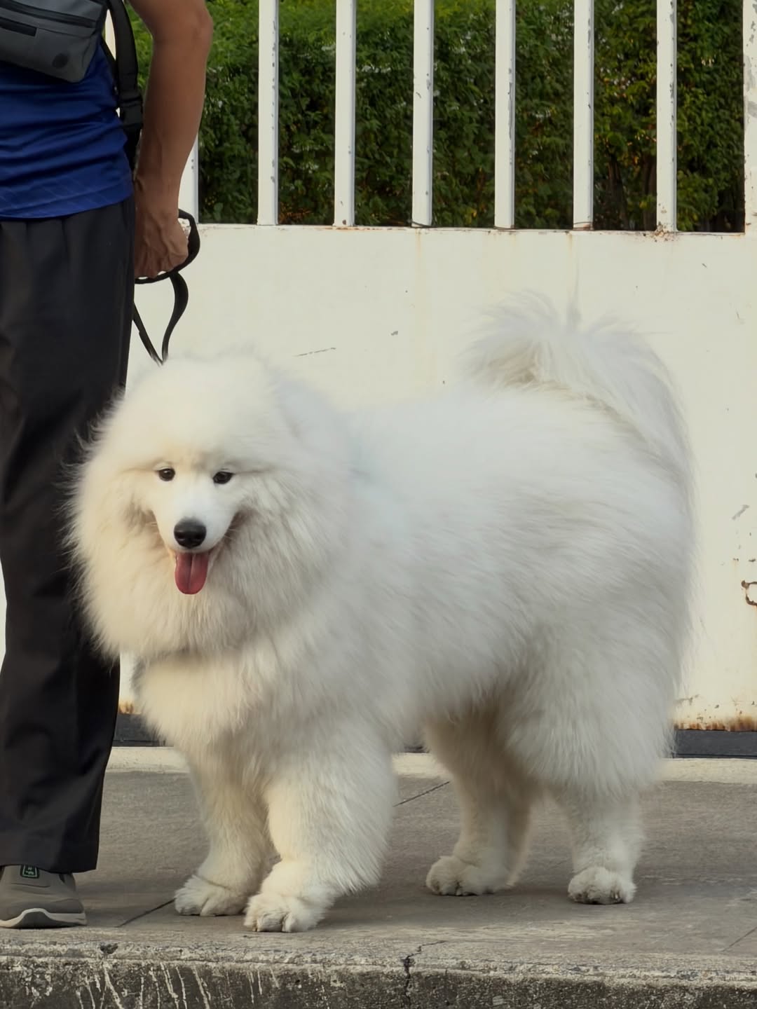 พูห์ - กฤติน กิจจารุวรรณกุล