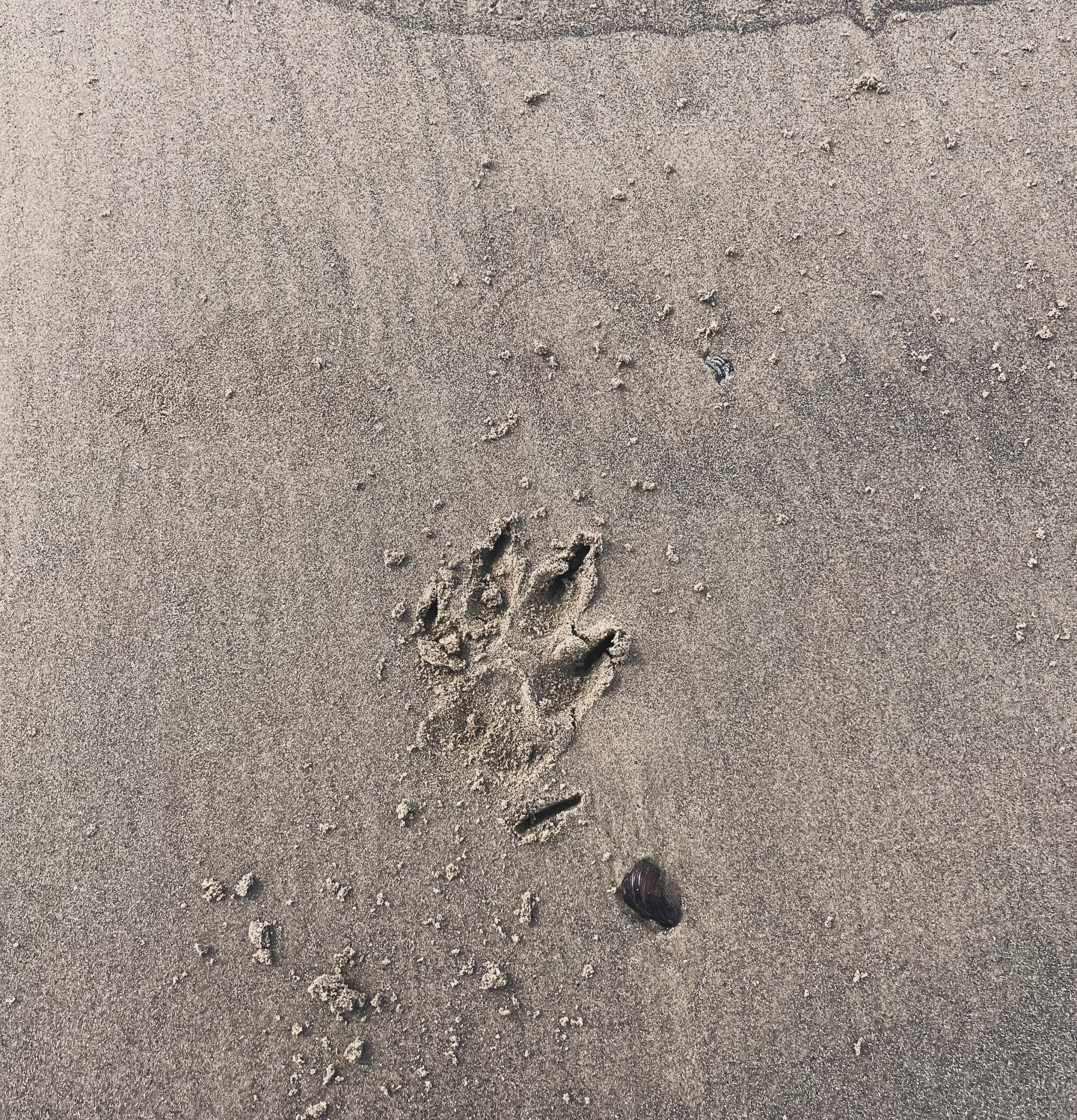 คุณ - นิชคุณ หรเวชกุล