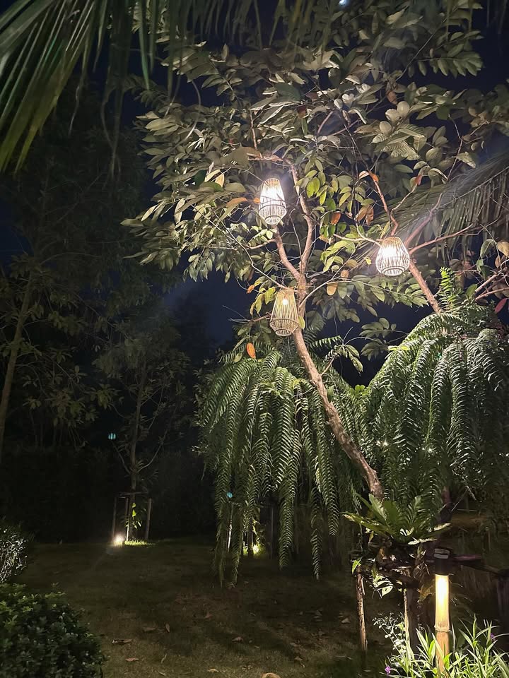 บิ๊ก - ภูวดิท ศิลาอุดมเดช