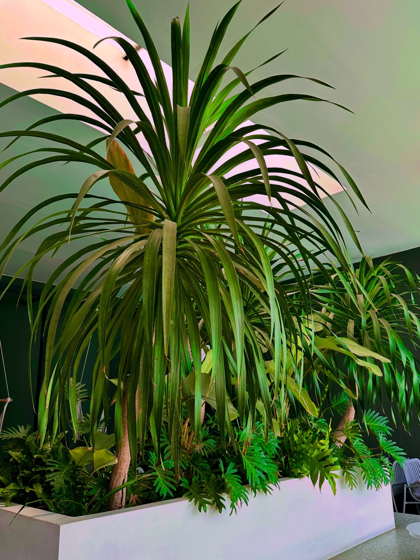 บิ๊ก - ภูวดิท ศิลาอุดมเดช