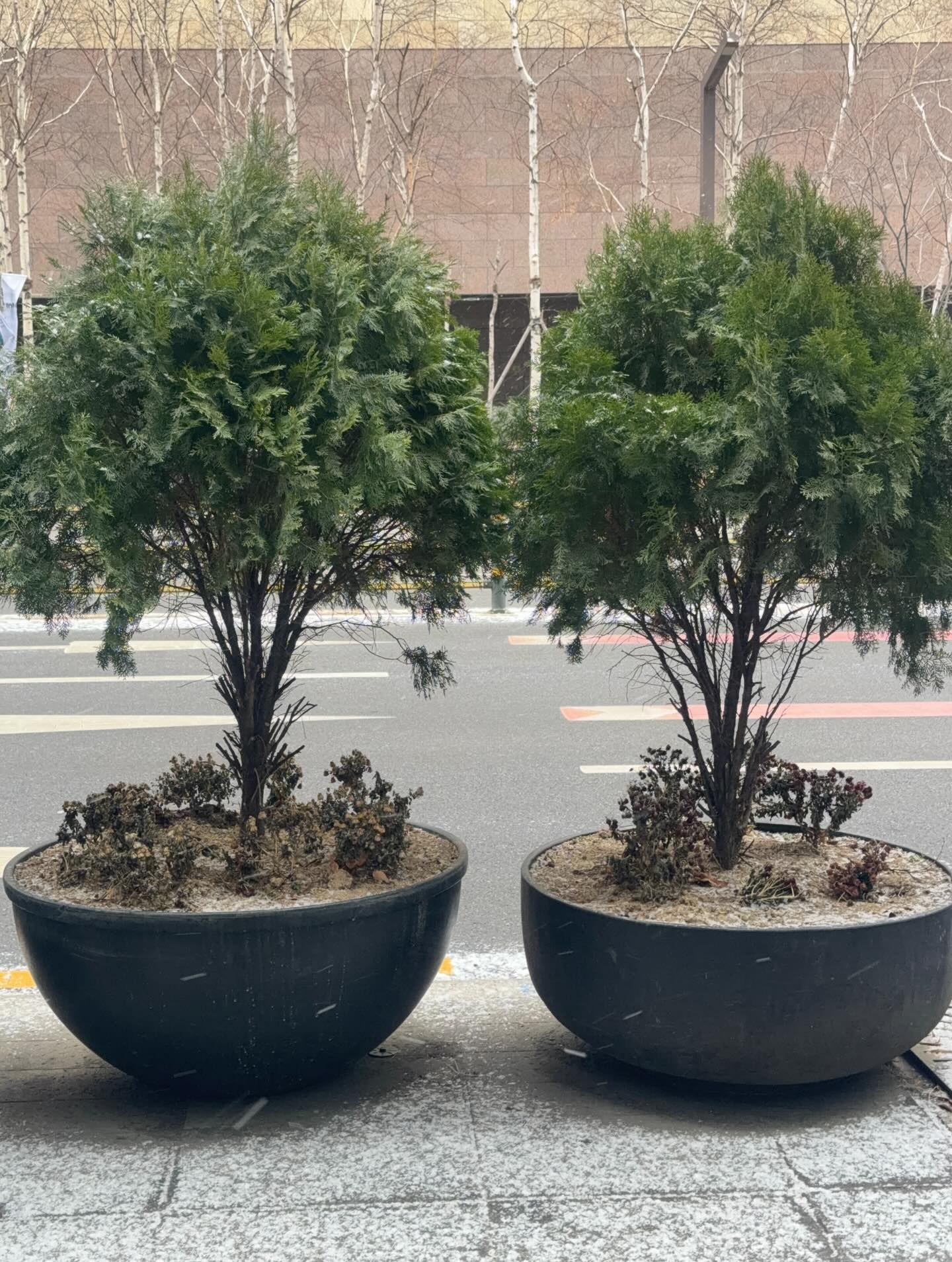 โอ๊ต - ภาสกร สารรัตนะ