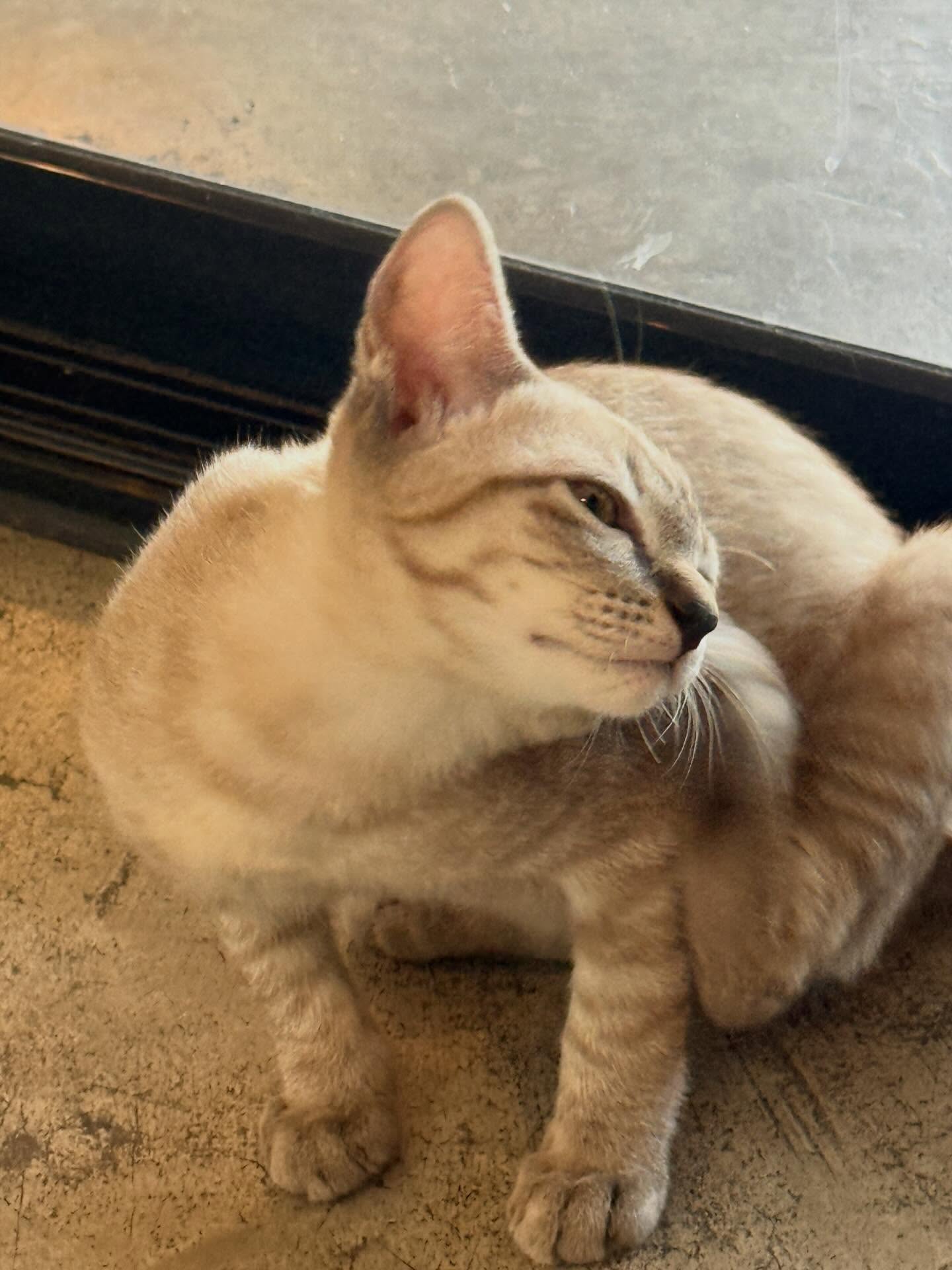 โอ๊ต - ภาสกร สารรัตนะ