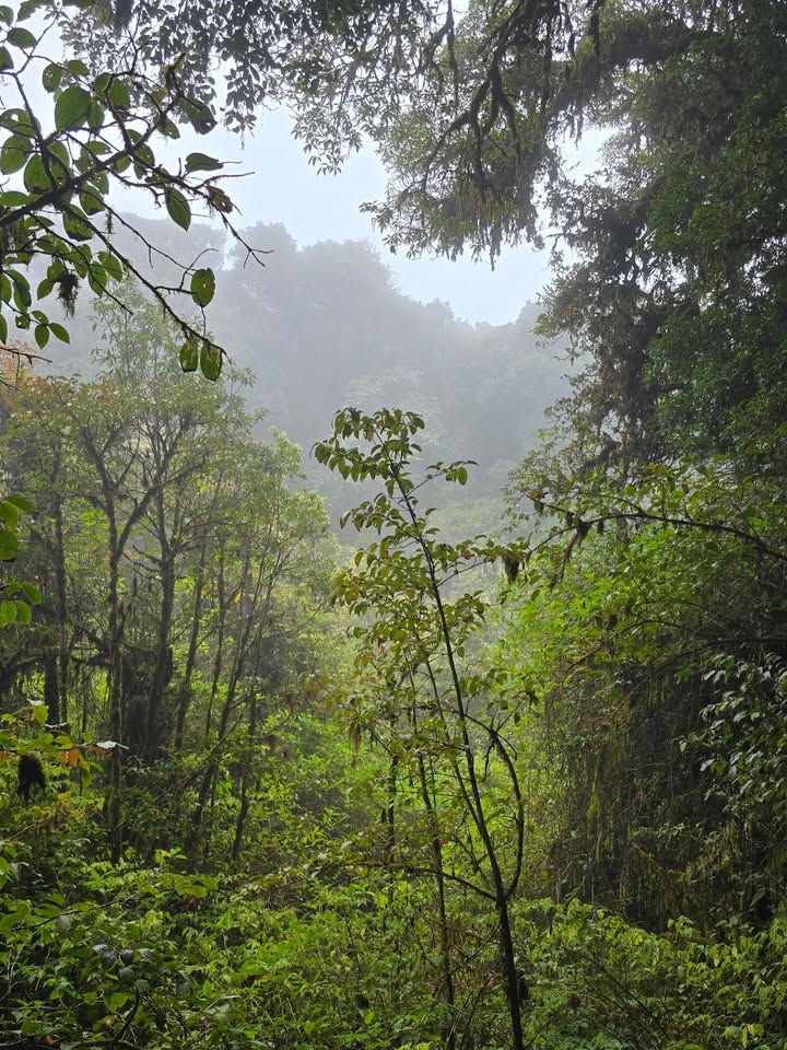 เป้ - วิศวะ กิจตันขจร