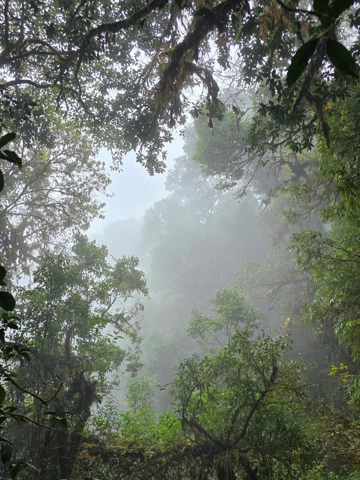 เป้ - วิศวะ กิจตันขจร