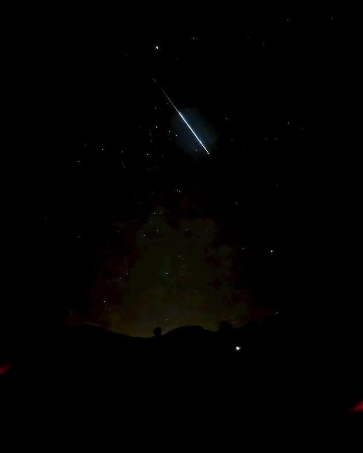 เป้ - วิศวะ กิจตันขจร