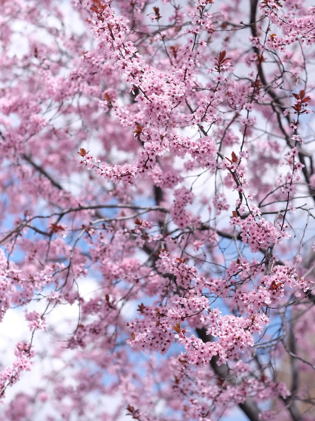 เป้ - วิศวะ กิจตันขจร