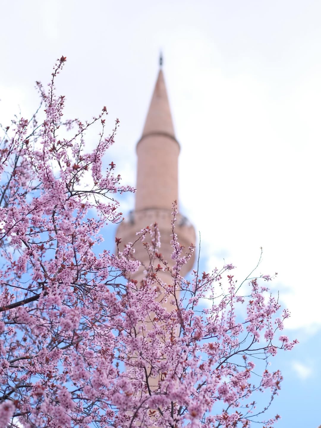 เป้ - วิศวะ กิจตันขจร