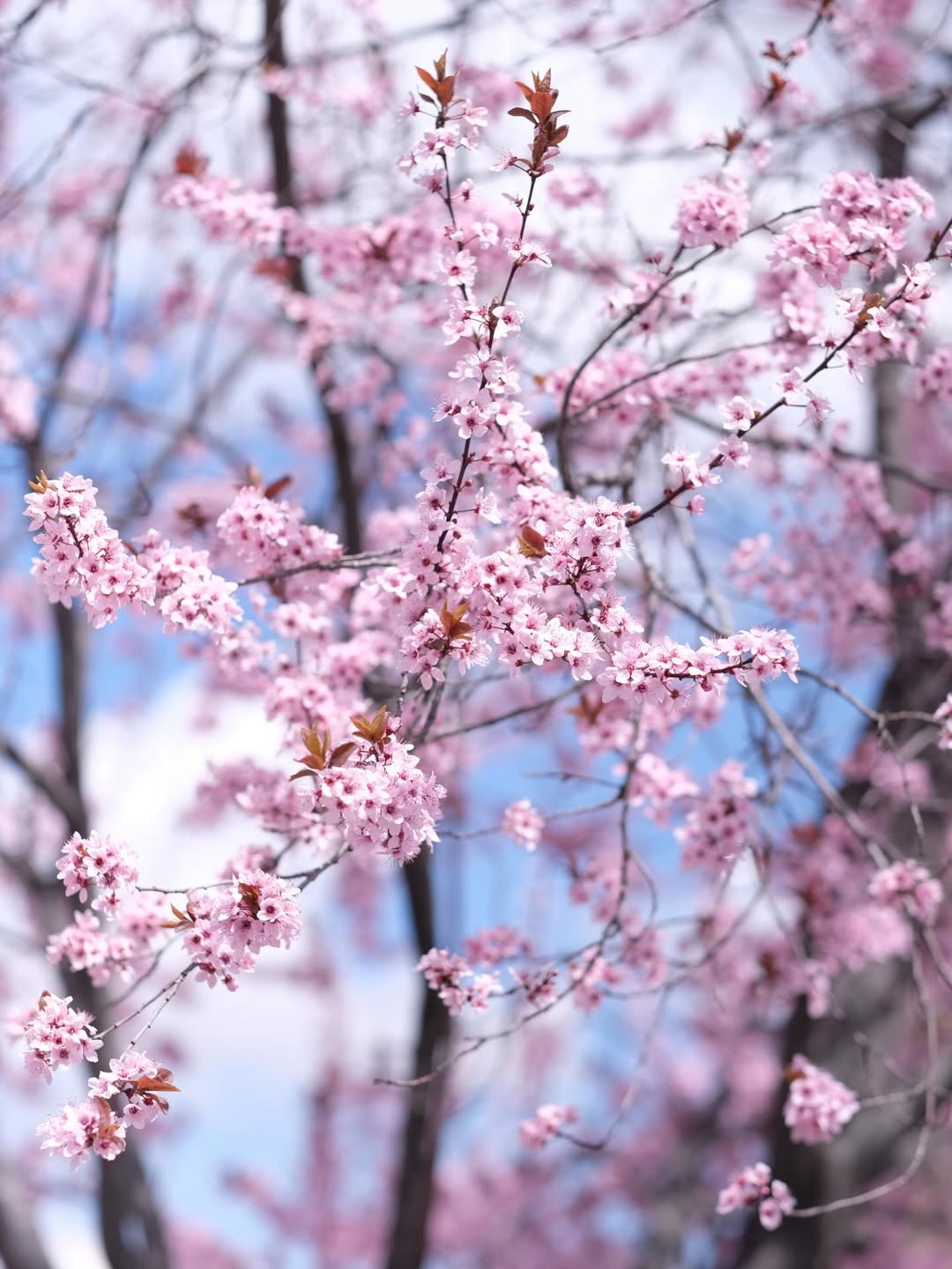 เป้ - วิศวะ กิจตันขจร