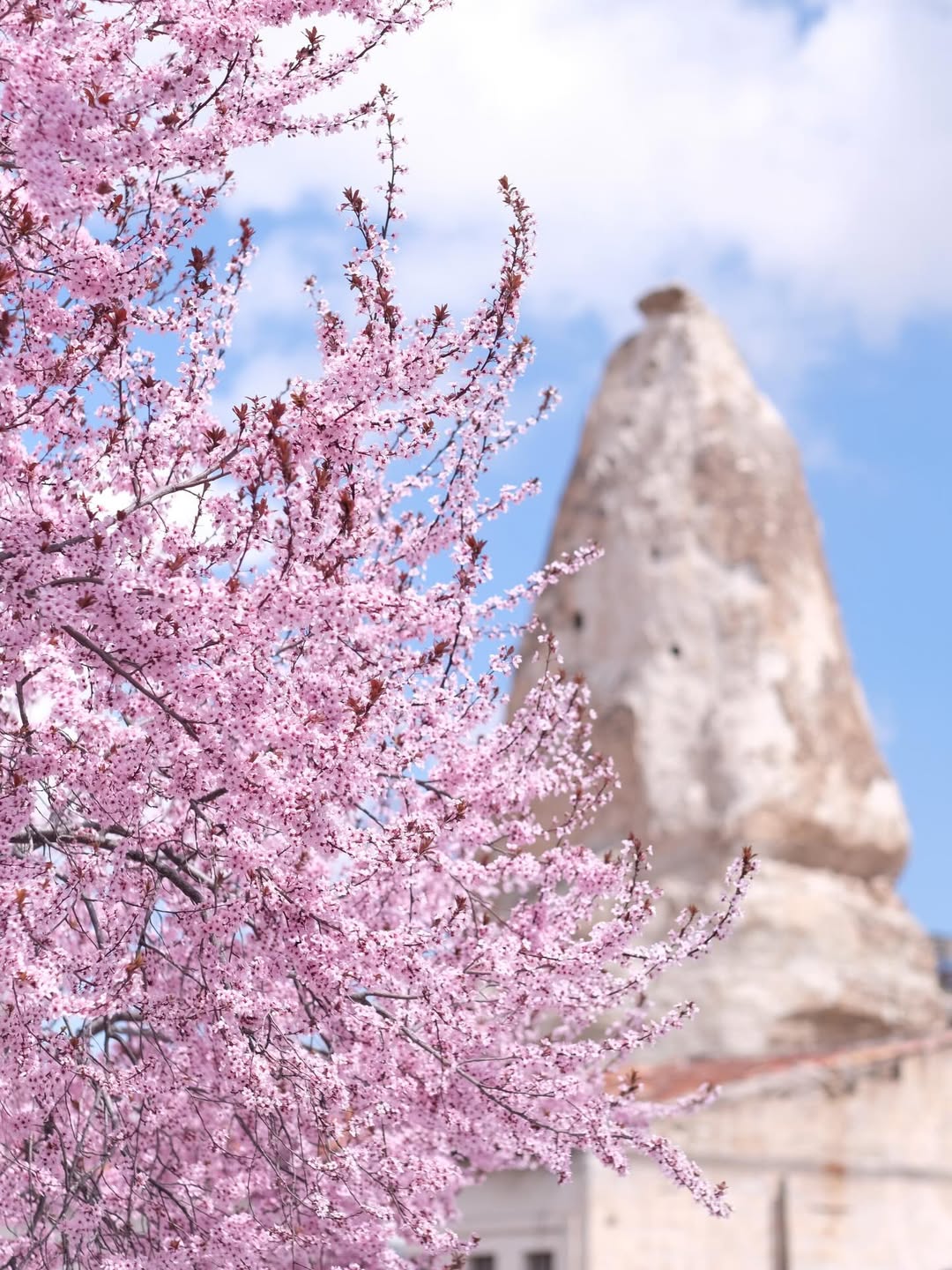 เป้ - วิศวะ กิจตันขจร