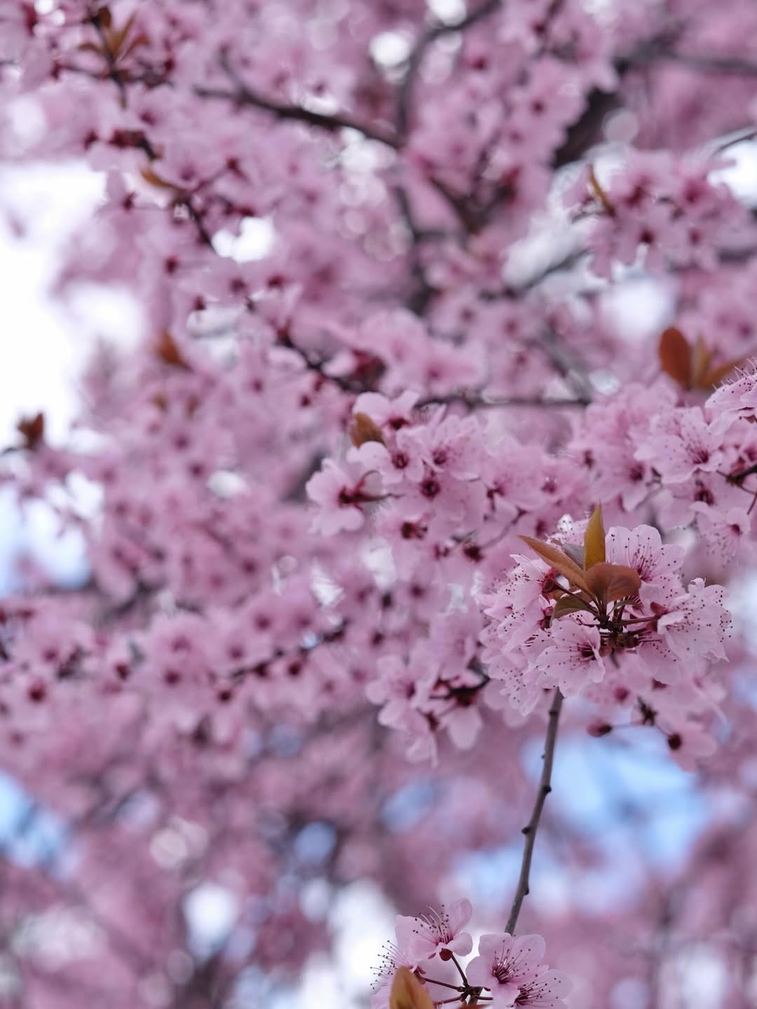 เป้ - วิศวะ กิจตันขจร