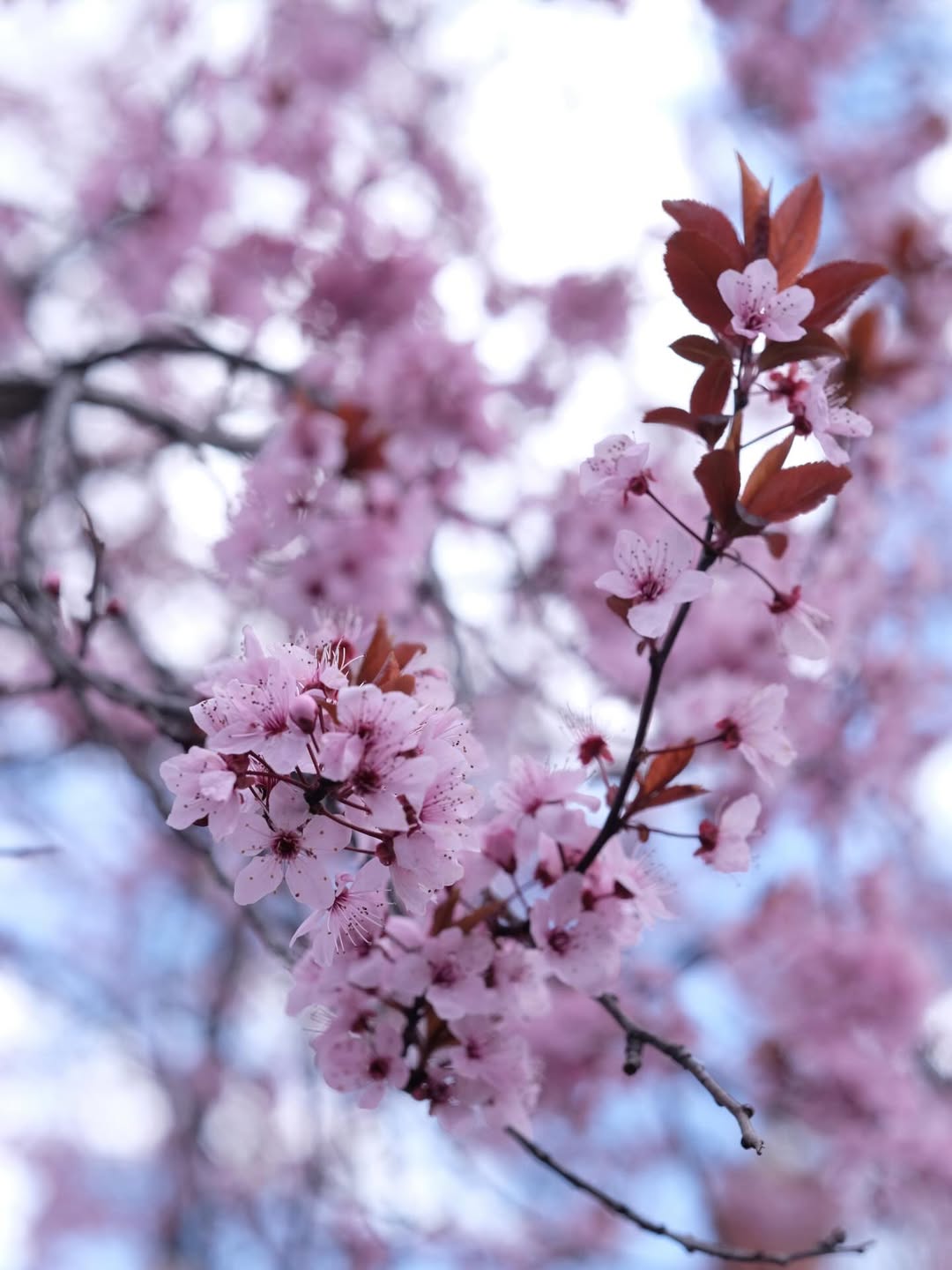 เป้ - วิศวะ กิจตันขจร