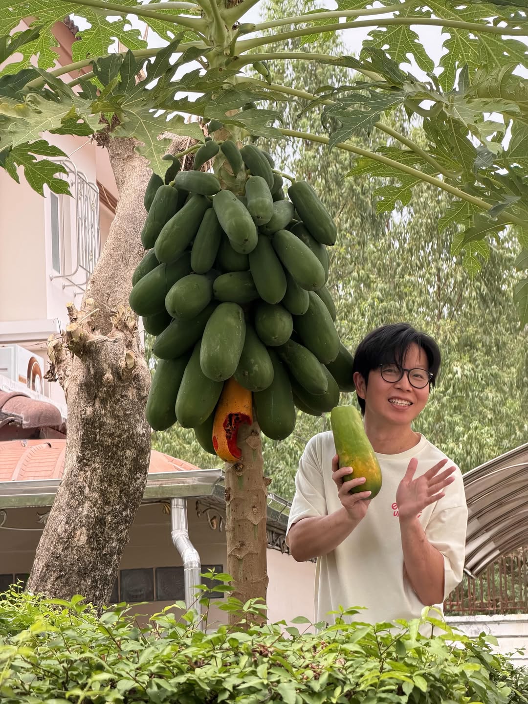 เป้ - วิศวะ กิจตันขจร
