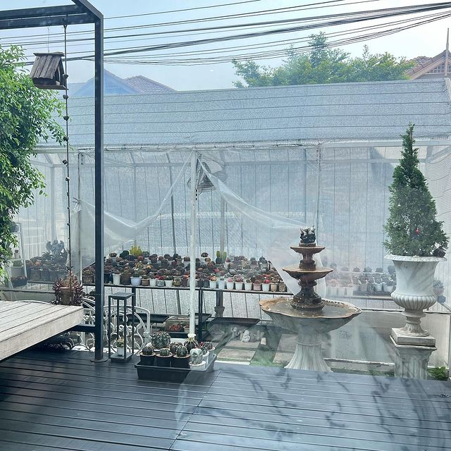 My Image 30