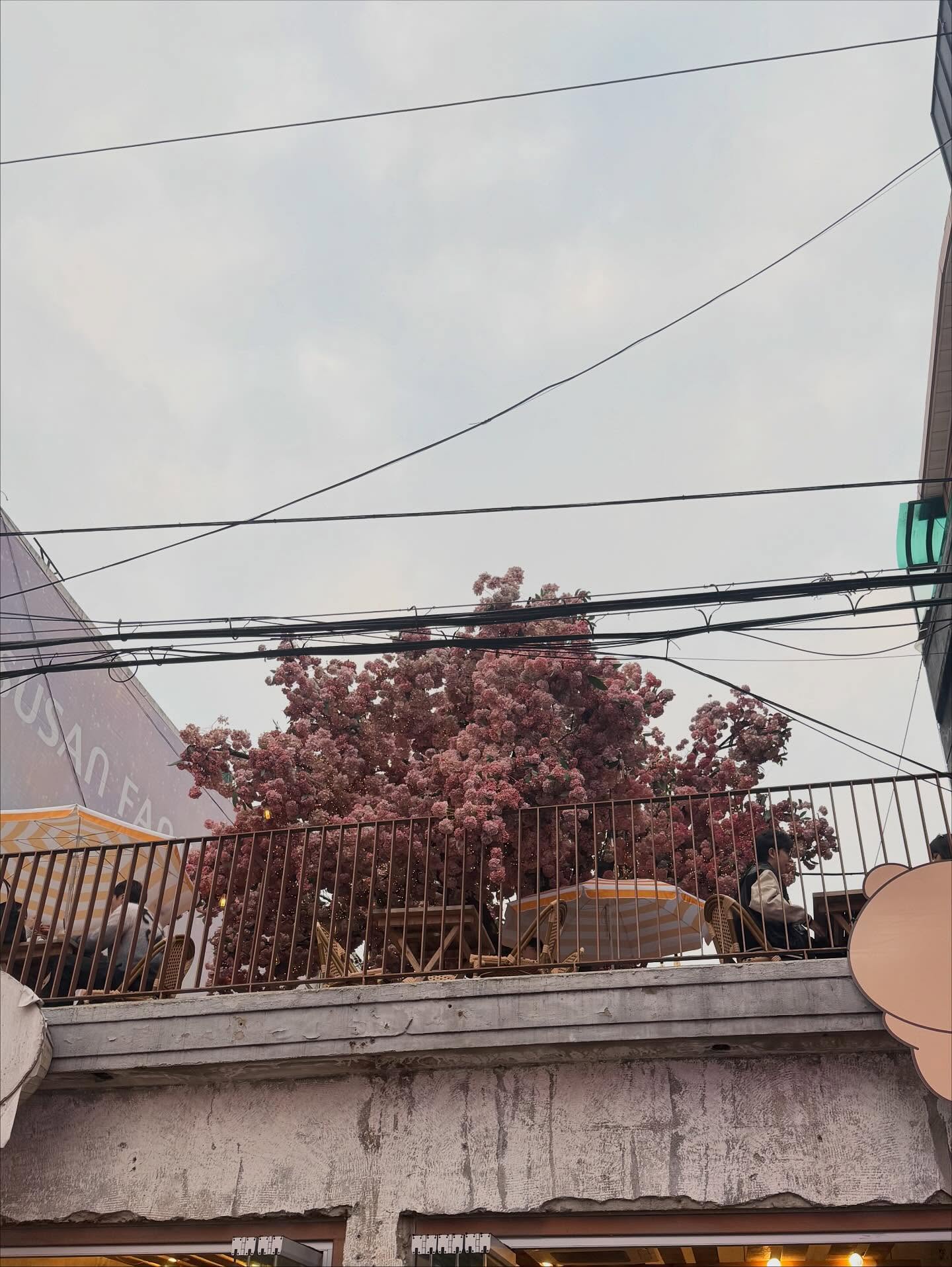 กิ๊บซี่ - วนิดา เติมธนาภรณ์