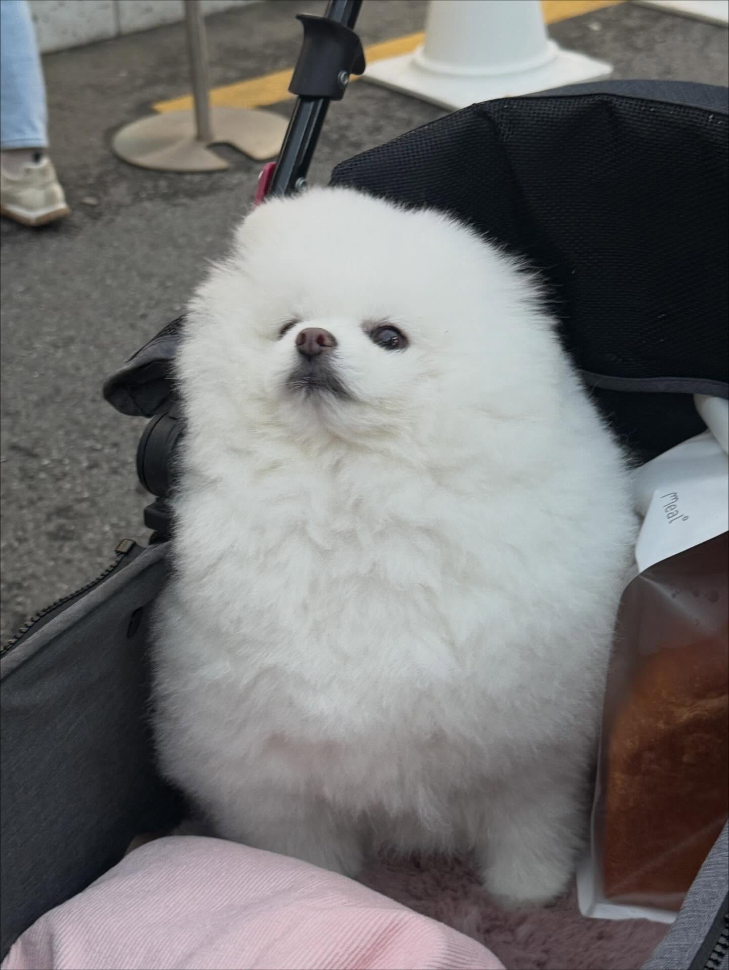 กิ๊บซี่ - วนิดา เติมธนาภรณ์