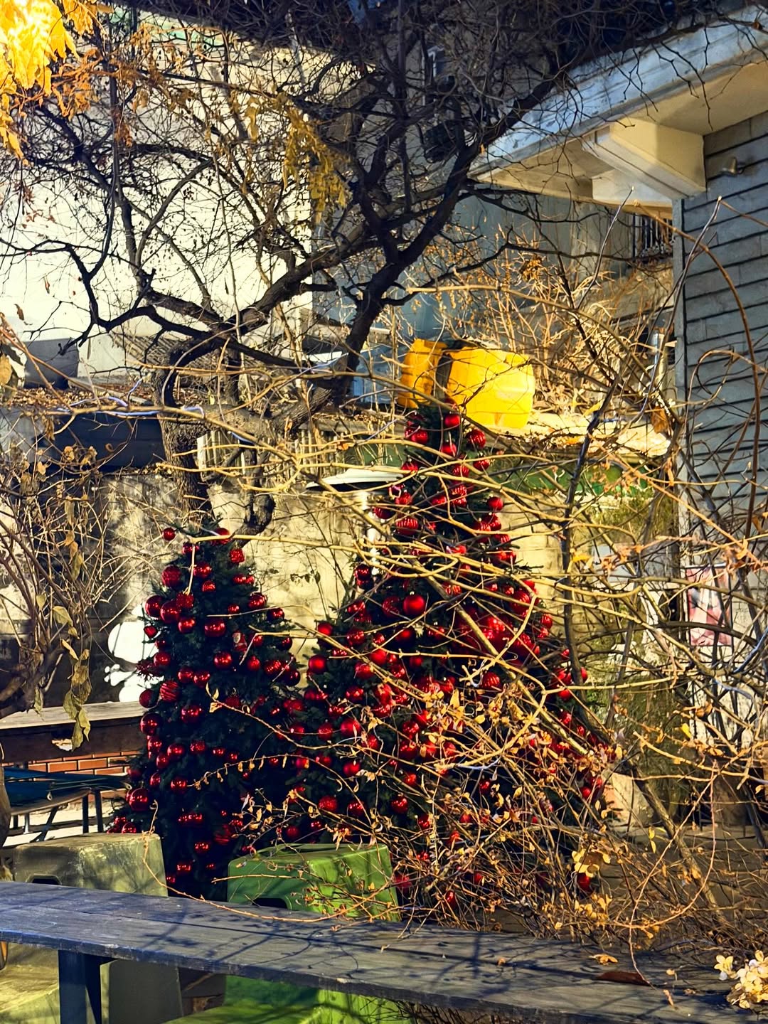 กิ๊บซี่ - วนิดา เติมธนาภรณ์