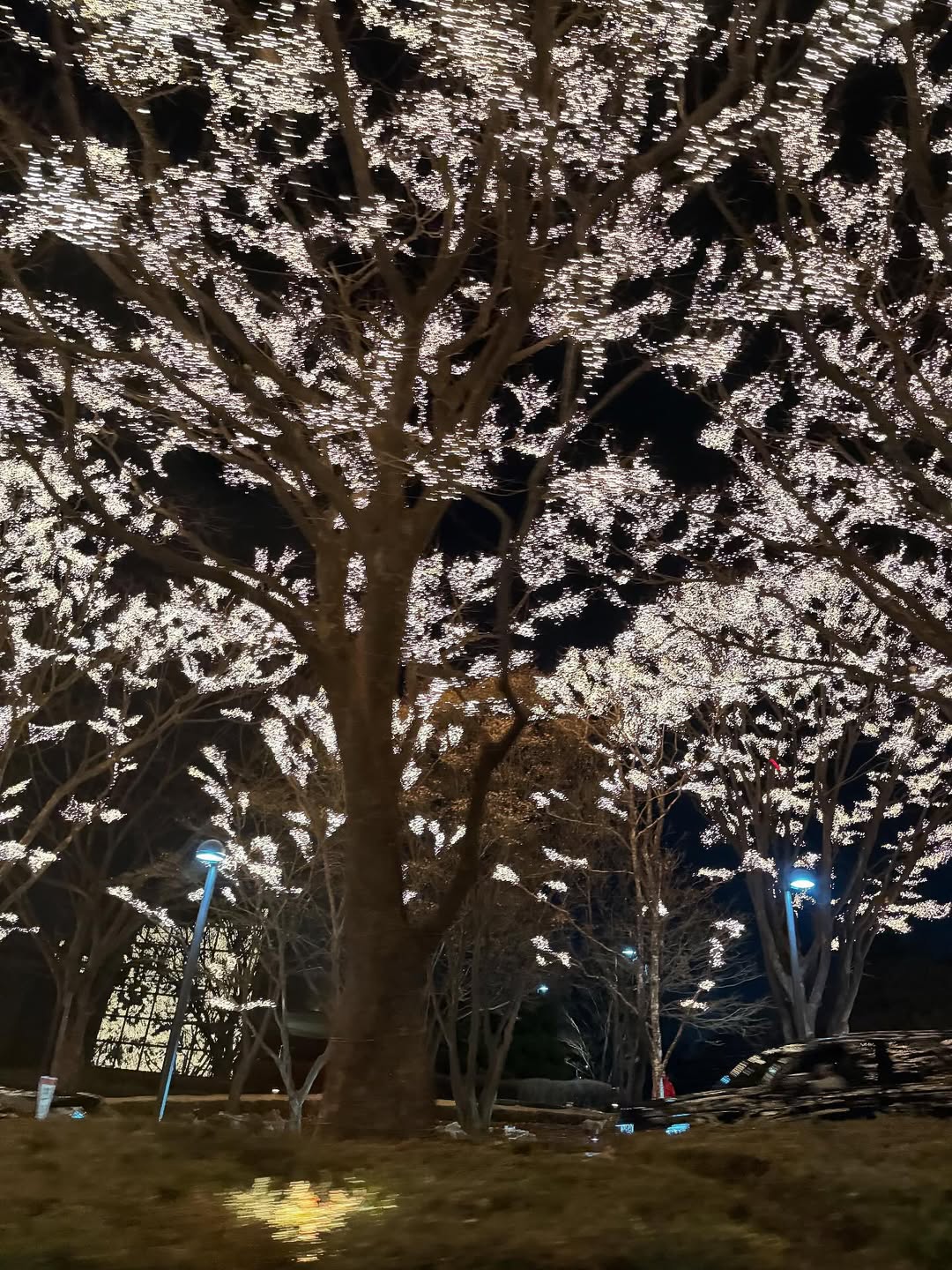 กิ๊บซี่ - วนิดา เติมธนาภรณ์