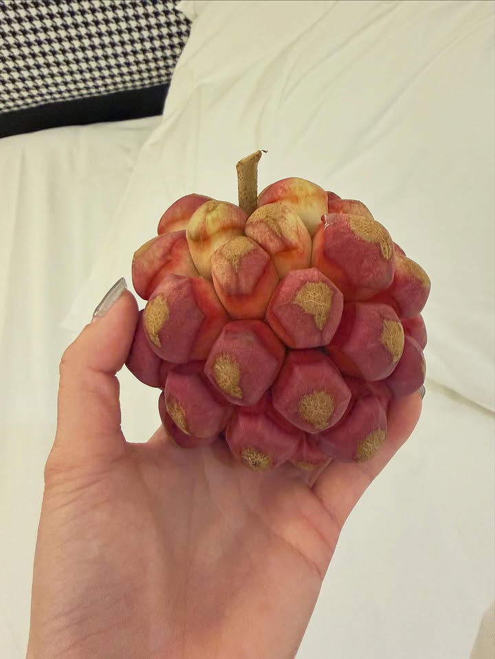 กิ๊บซี่ - วนิดา เติมธนาภรณ์