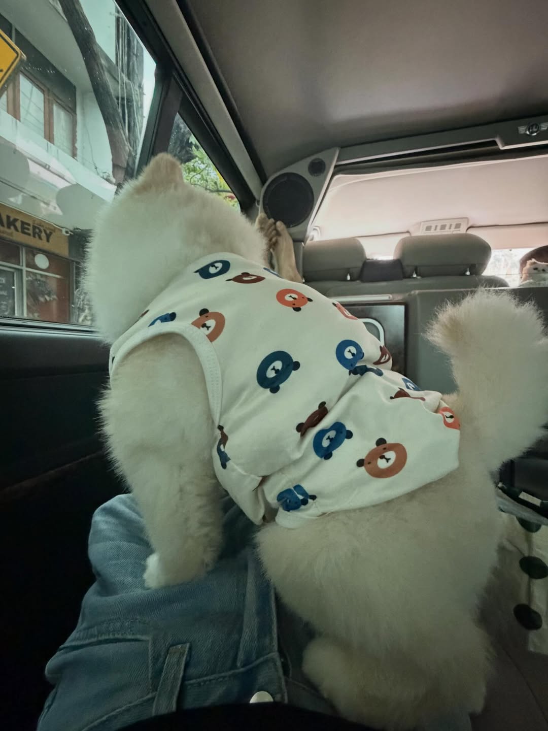 กิ๊บซี่ - วนิดา เติมธนาภรณ์