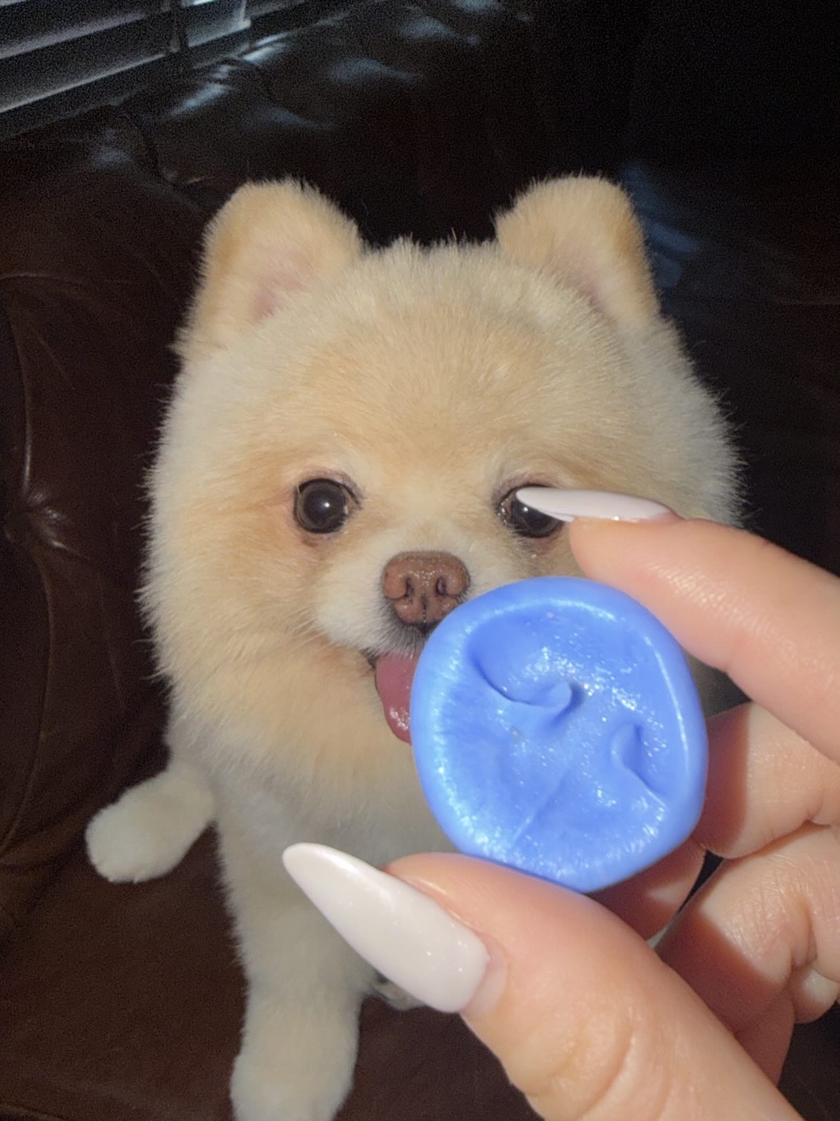 กิ๊บซี่ - วนิดา เติมธนาภรณ์