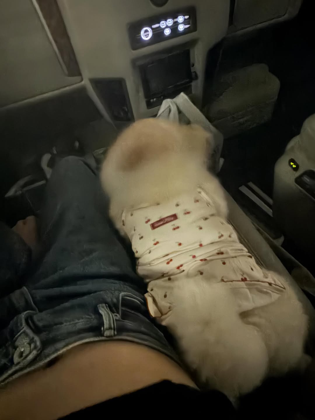 กิ๊บซี่ - วนิดา เติมธนาภรณ์