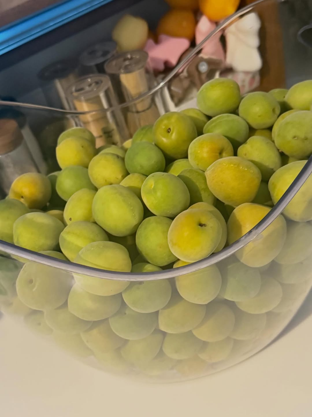 กิ๊บซี่ - วนิดา เติมธนาภรณ์