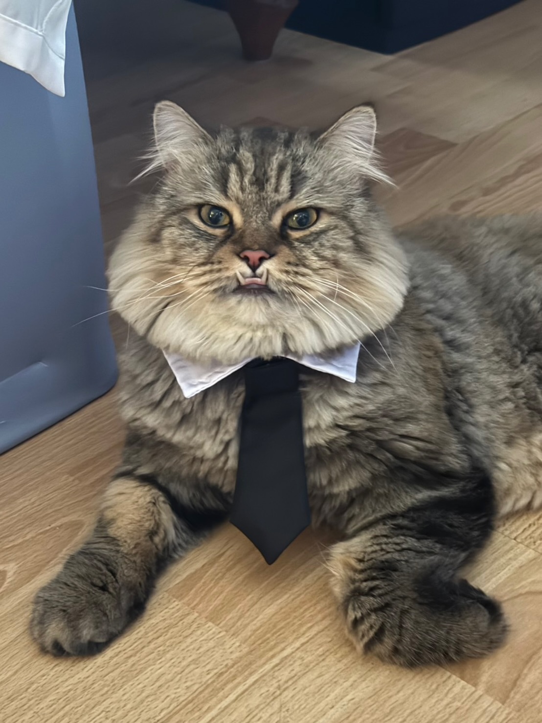 โทมัส - ธีร์ทัศน์ จึงมณีรัตน์